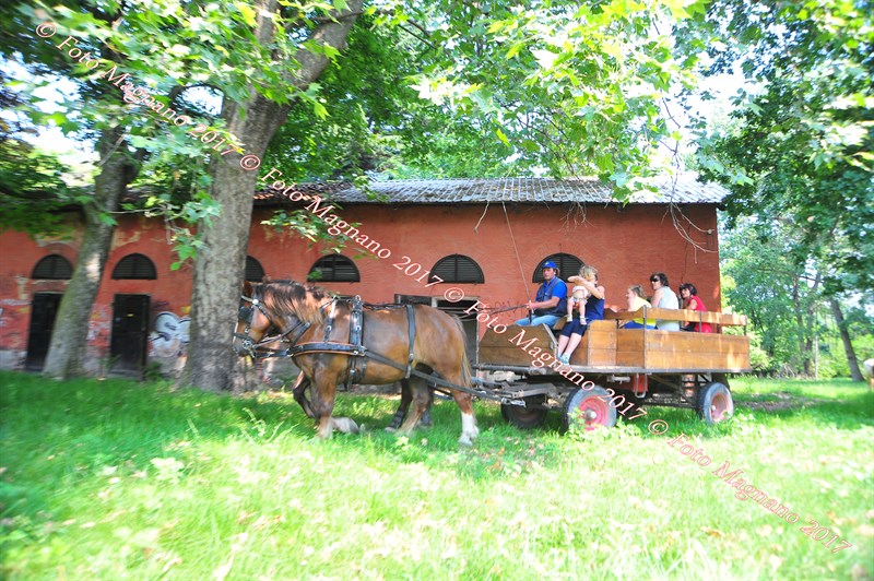 DSC_0965.JPG